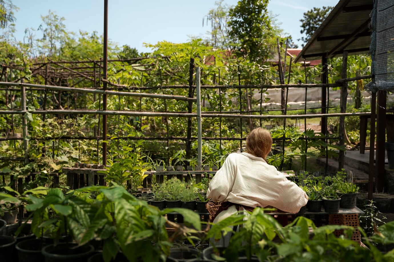 back-view-woman-checking-plants_23-2149456996